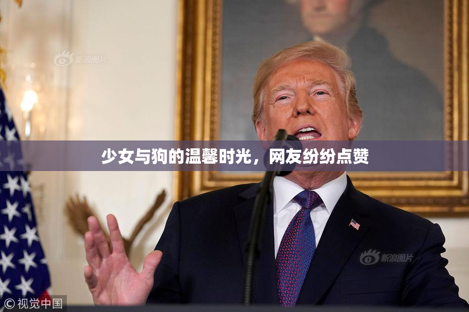 少女与狗的温馨时光，网友纷纷点赞