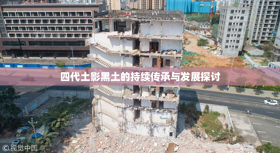 四代土影黑土的持续传承与发展探讨