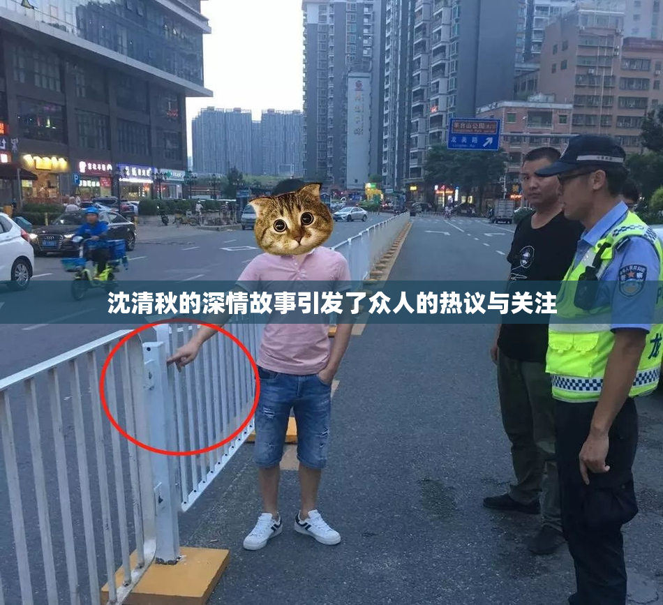 沈清秋的深情故事引发了众人的热议与关注