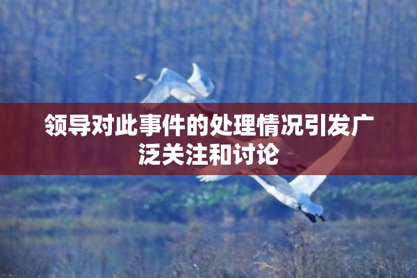 领导对此事件的处理情况引发广泛关注和讨论
