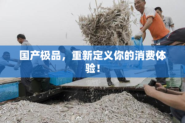 国产极品，重新定义你的消费体验！