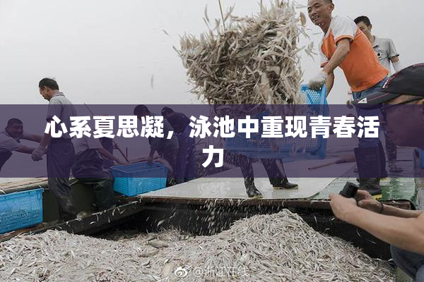 心系夏思凝，泳池中重现青春活力
