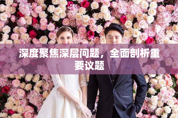 深度聚焦深层问题，全面剖析重要议题