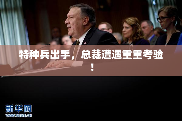 特种兵出手，总裁遭遇重重考验！