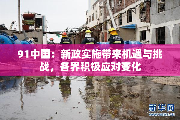 91中国：新政实施带来机遇与挑战，各界积极应对变化