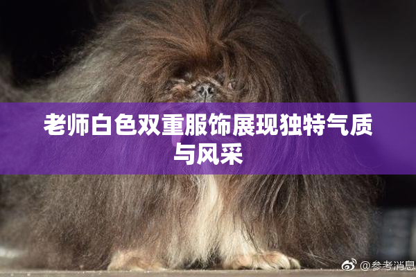 老师白色双重服饰展现独特气质与风采