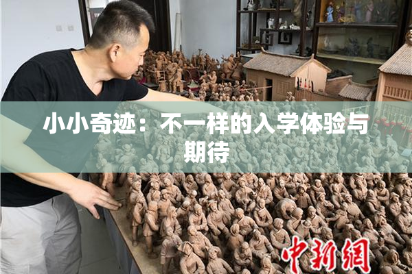 小小奇迹：不一样的入学体验与期待