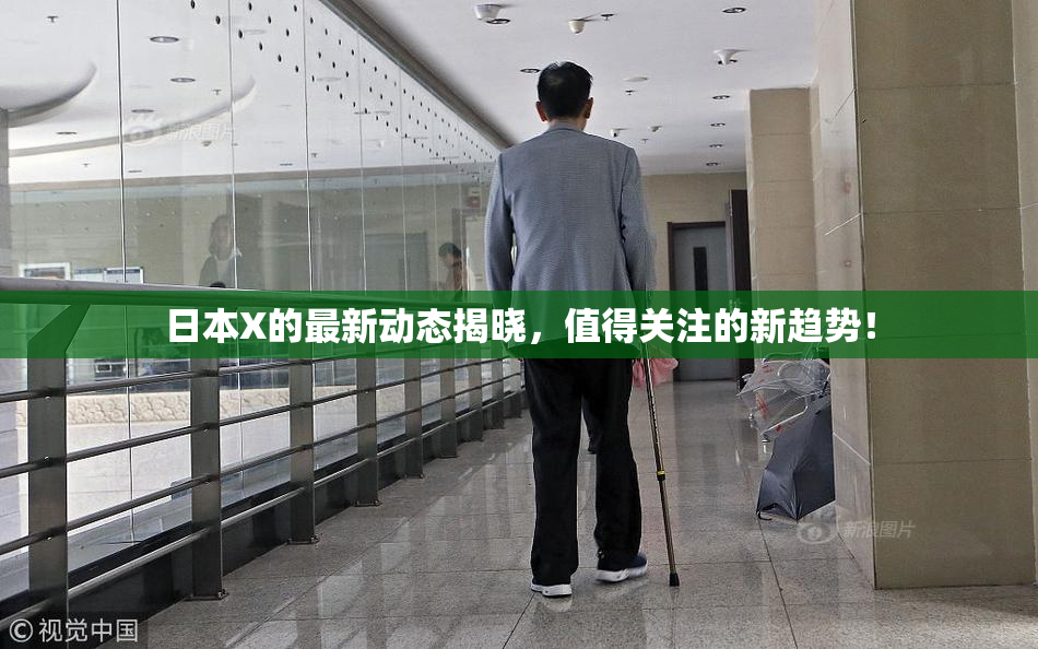 日本X的最新动态揭晓，值得关注的新趋势！