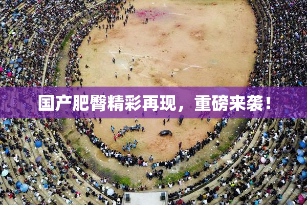 国产肥臀精彩再现，重磅来袭！