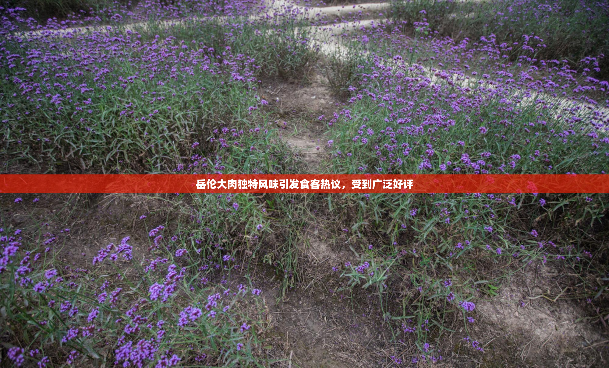岳伦大肉独特风味引发食客热议，受到广泛好评