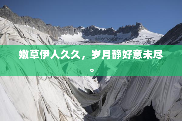 嫩草伊人久久，岁月静好意未尽。