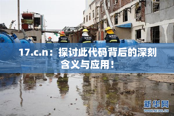 17.c.n：探讨此代码背后的深刻含义与应用！