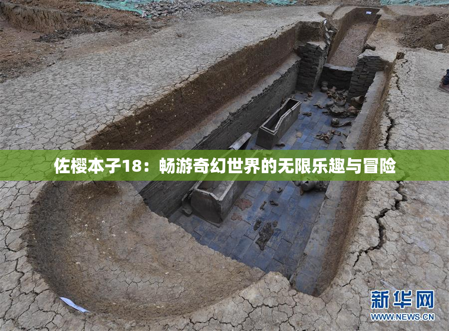 佐樱本子18：畅游奇幻世界的无限乐趣与冒险
