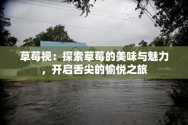 草莓视：探索草莓的美味与魅力，开启舌尖的愉悦之旅