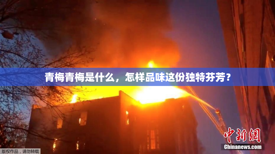 青梅青梅是什么，怎样品味这份独特芬芳？