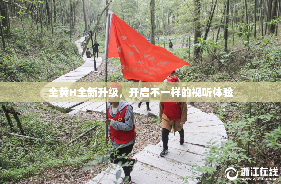全黄H全新升级，开启不一样的视听体验