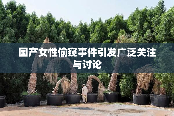 国产女性偷窥事件引发广泛关注与讨论