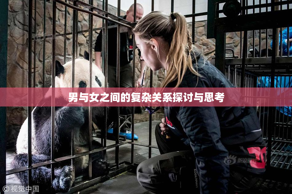 男与女之间的复杂关系探讨与思考