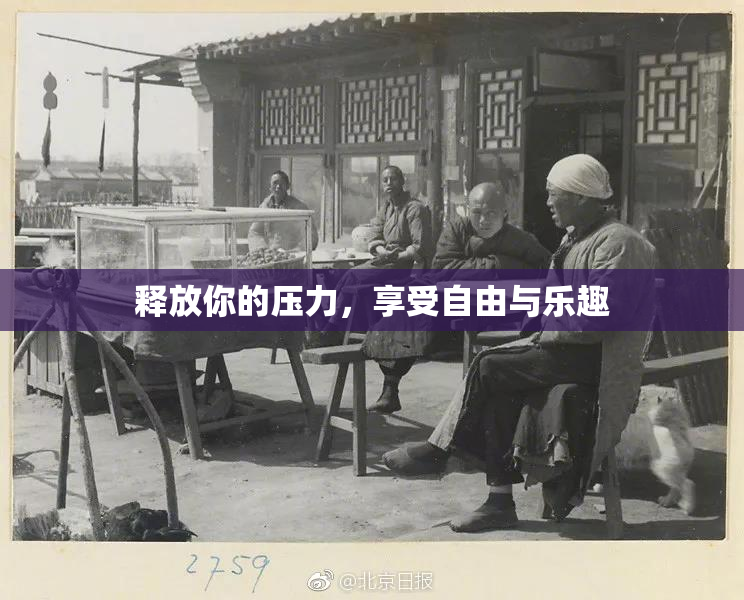 释放你的压力，享受自由与乐趣