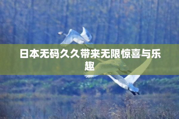 日本无码久久带来无限惊喜与乐趣