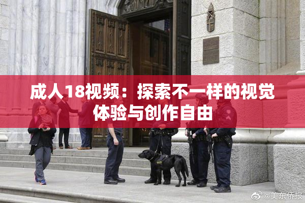 成人18视频：探索不一样的视觉体验与创作自由