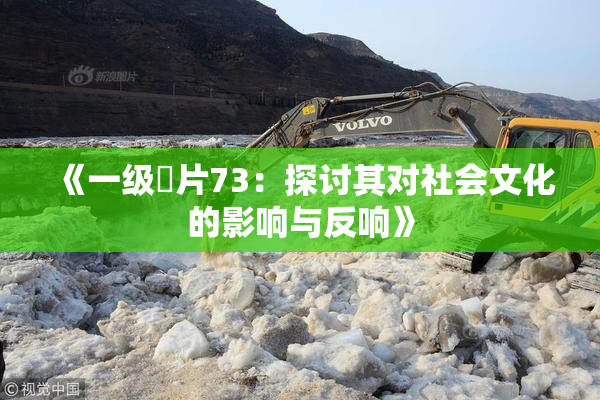 《一级婬片73：探讨其对社会文化的影响与反响》