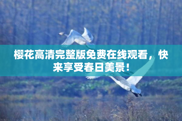 樱花高清完整版免费在线观看，快来享受春日美景！