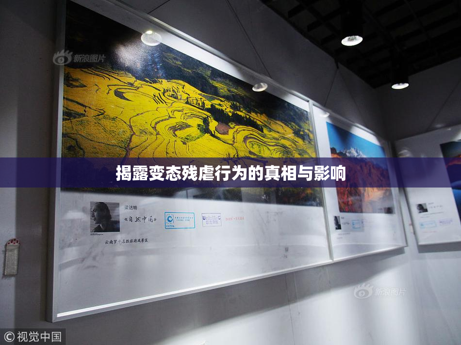揭露变态残虐行为的真相与影响