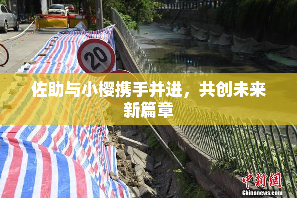 佐助与小樱携手并进，共创未来新篇章