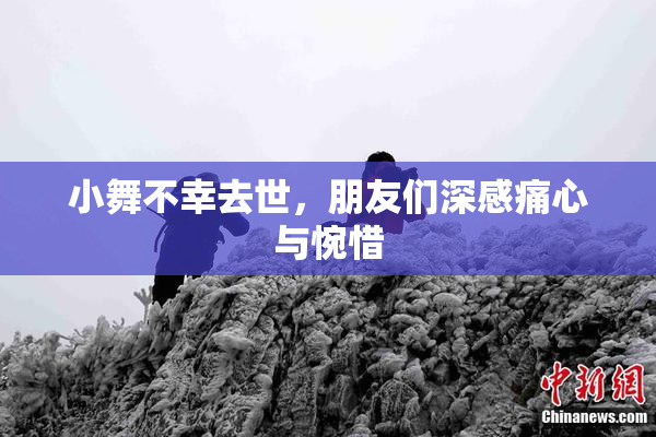 小舞不幸去世，朋友们深感痛心与惋惜
