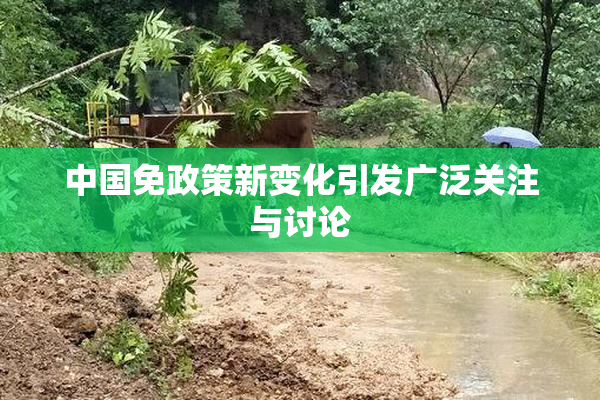 中国免政策新变化引发广泛关注与讨论