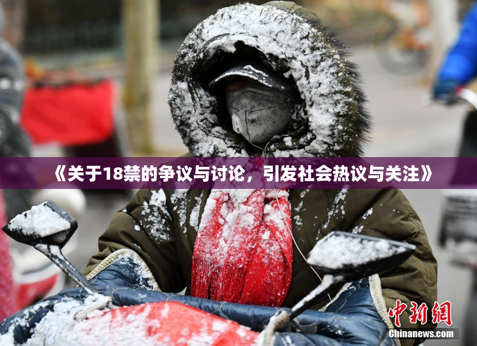 《关于18禁的争议与讨论，引发社会热议与关注》
