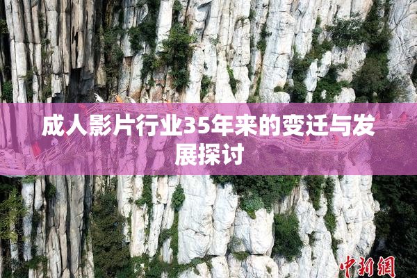 成人影片行业35年来的变迁与发展探讨
