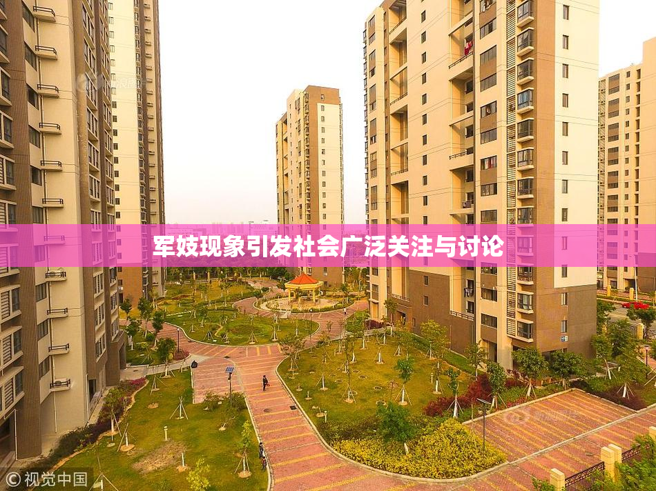 军妓现象引发社会广泛关注与讨论