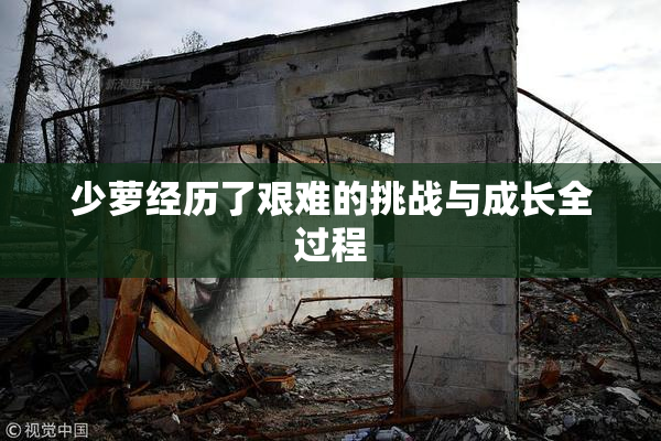 少萝经历了艰难的挑战与成长全过程