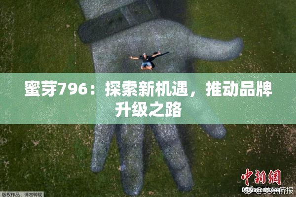 蜜芽796：探索新机遇，推动品牌升级之路