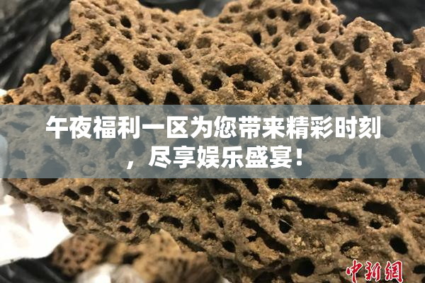 午夜福利一区为您带来精彩时刻，尽享娱乐盛宴！