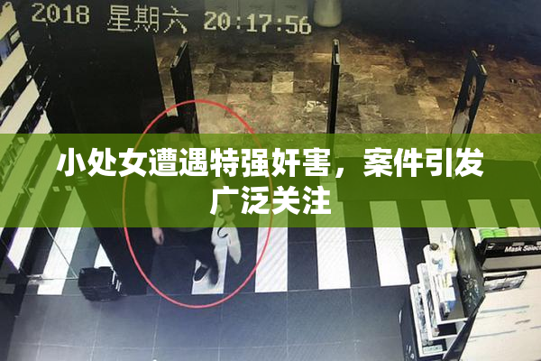 小处女遭遇特强奸害，案件引发广泛关注