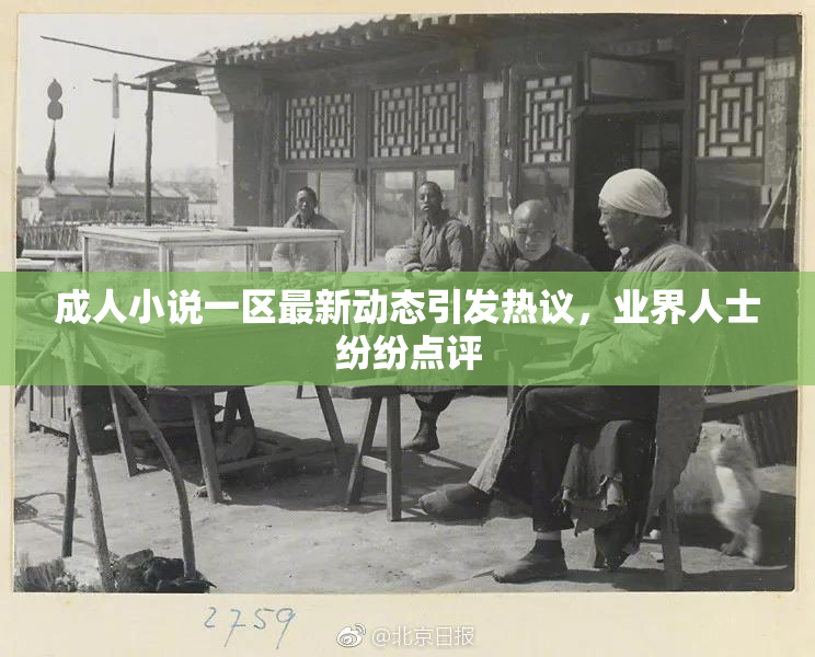 成人小说一区最新动态引发热议，业界人士纷纷点评