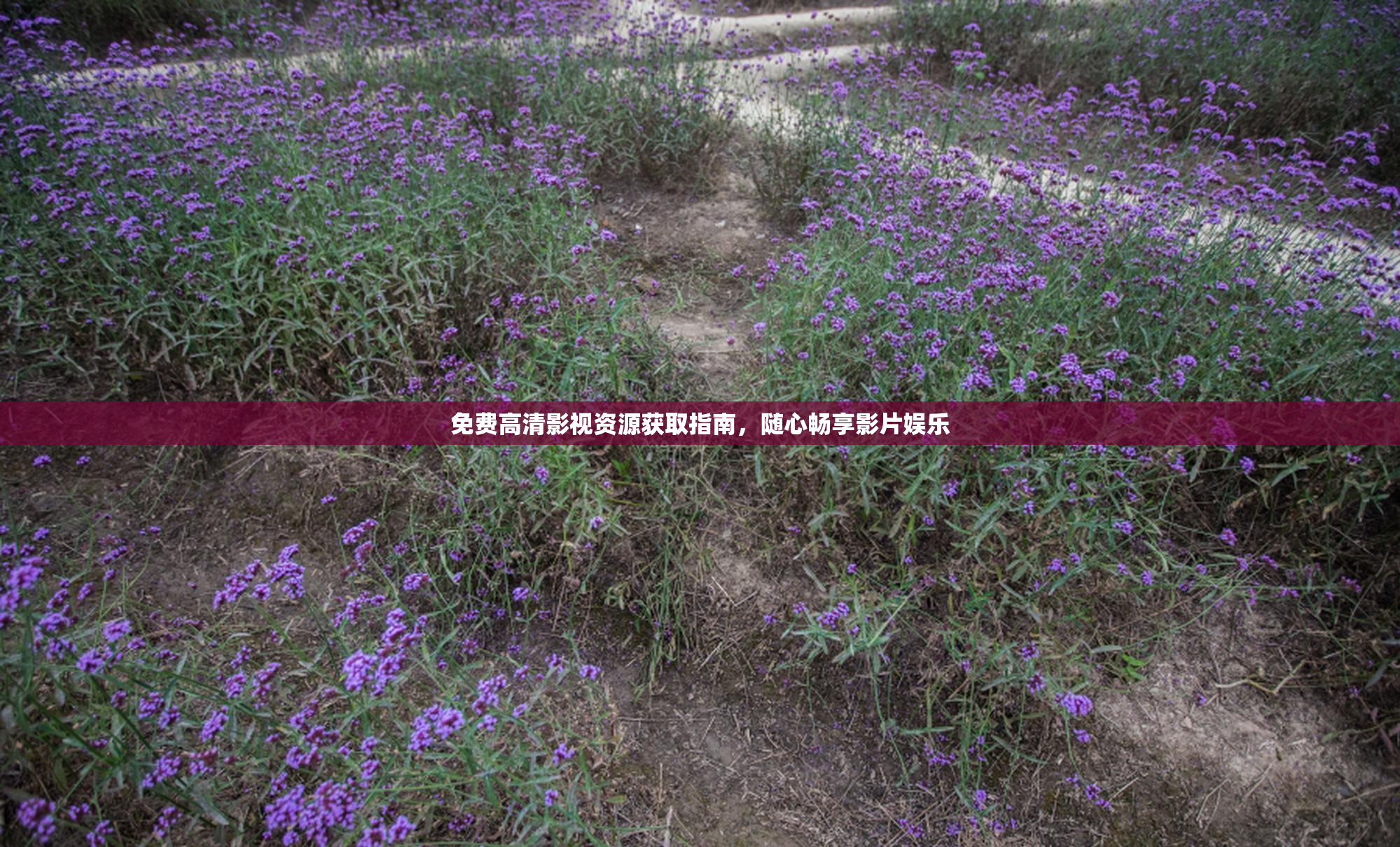 免费高清影视资源获取指南，随心畅享影片娱乐