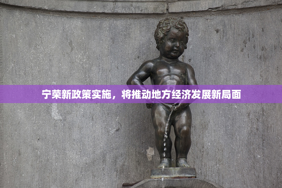 宁荣新政策实施，将推动地方经济发展新局面