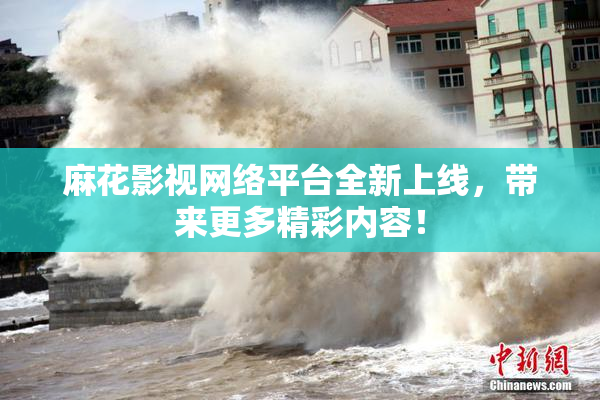 麻花影视网络平台全新上线，带来更多精彩内容！
