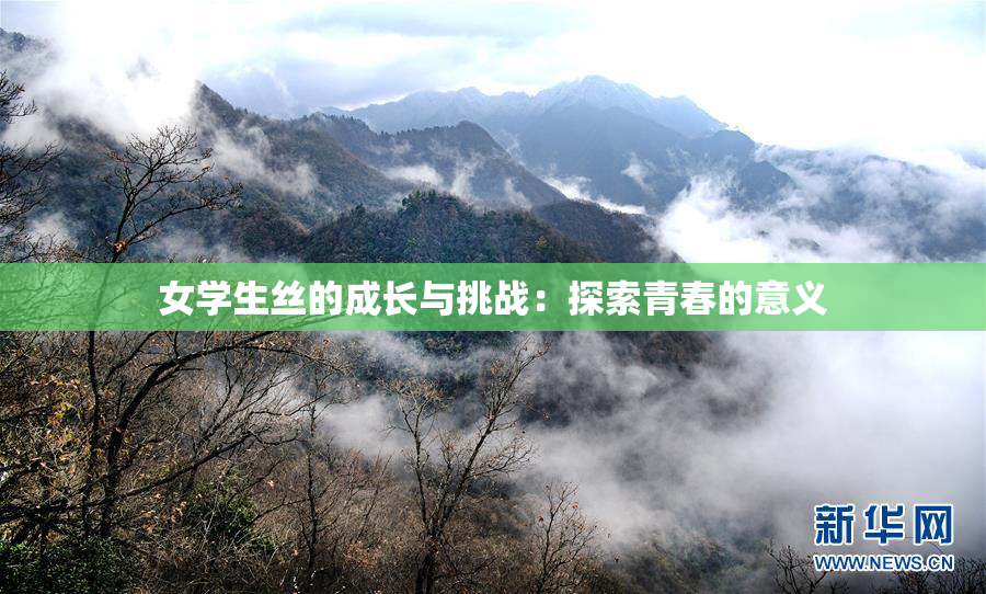 女学生丝的成长与挑战：探索青春的意义