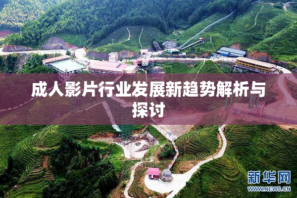 成人影片行业发展新趋势解析与探讨