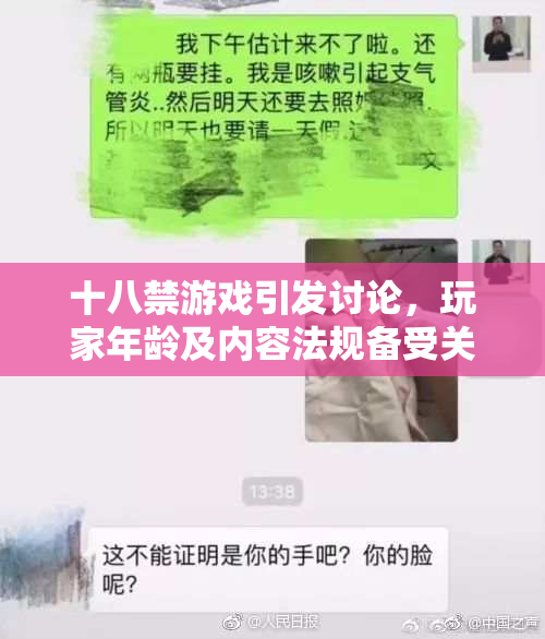 十八禁游戏引发讨论，玩家年龄及内容法规备受关注