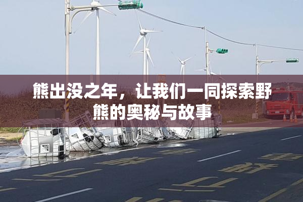 熊出没之年，让我们一同探索野熊的奥秘与故事