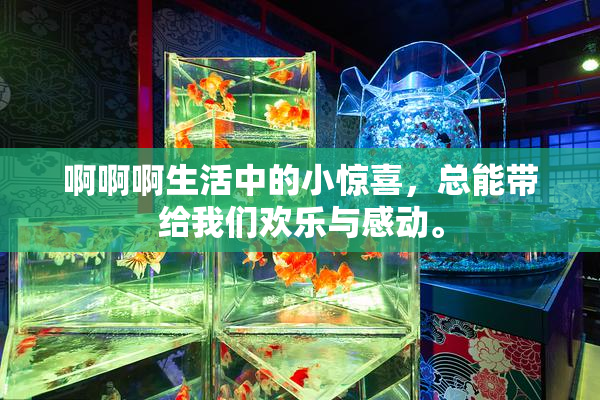 啊啊啊生活中的小惊喜，总能带给我们欢乐与感动。