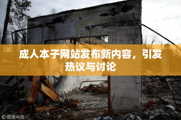 成人本子网站发布新内容，引发热议与讨论