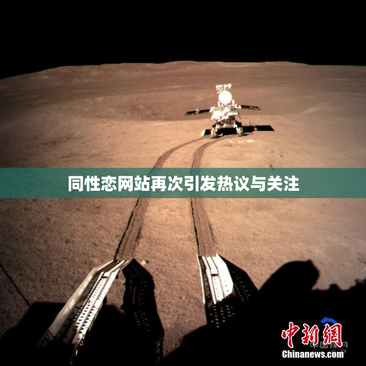 同性恋网站再次引发热议与关注