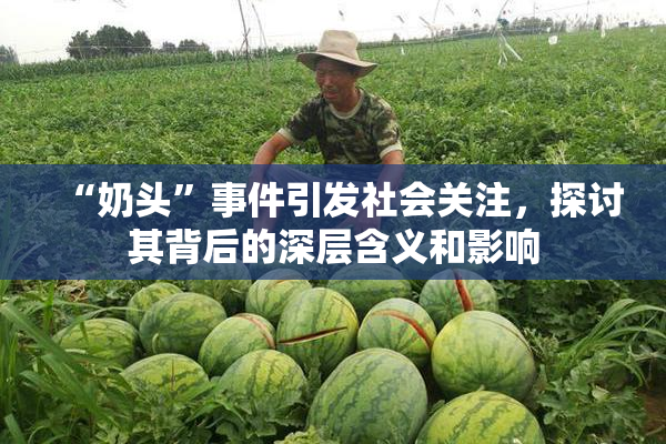 “奶头”事件引发社会关注，探讨其背后的深层含义和影响